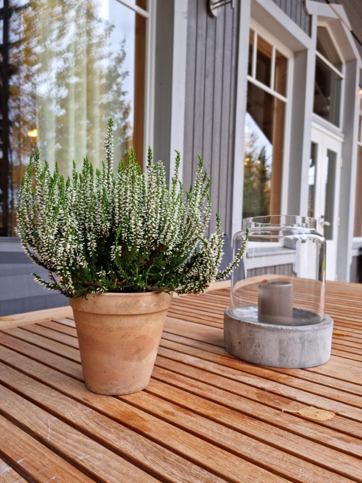 Miiluranta Villas Haapamäki 외부 사진