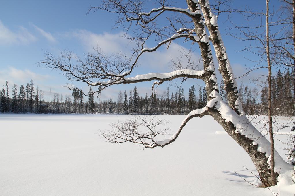 Miiluranta Villas Haapamäki 외부 사진